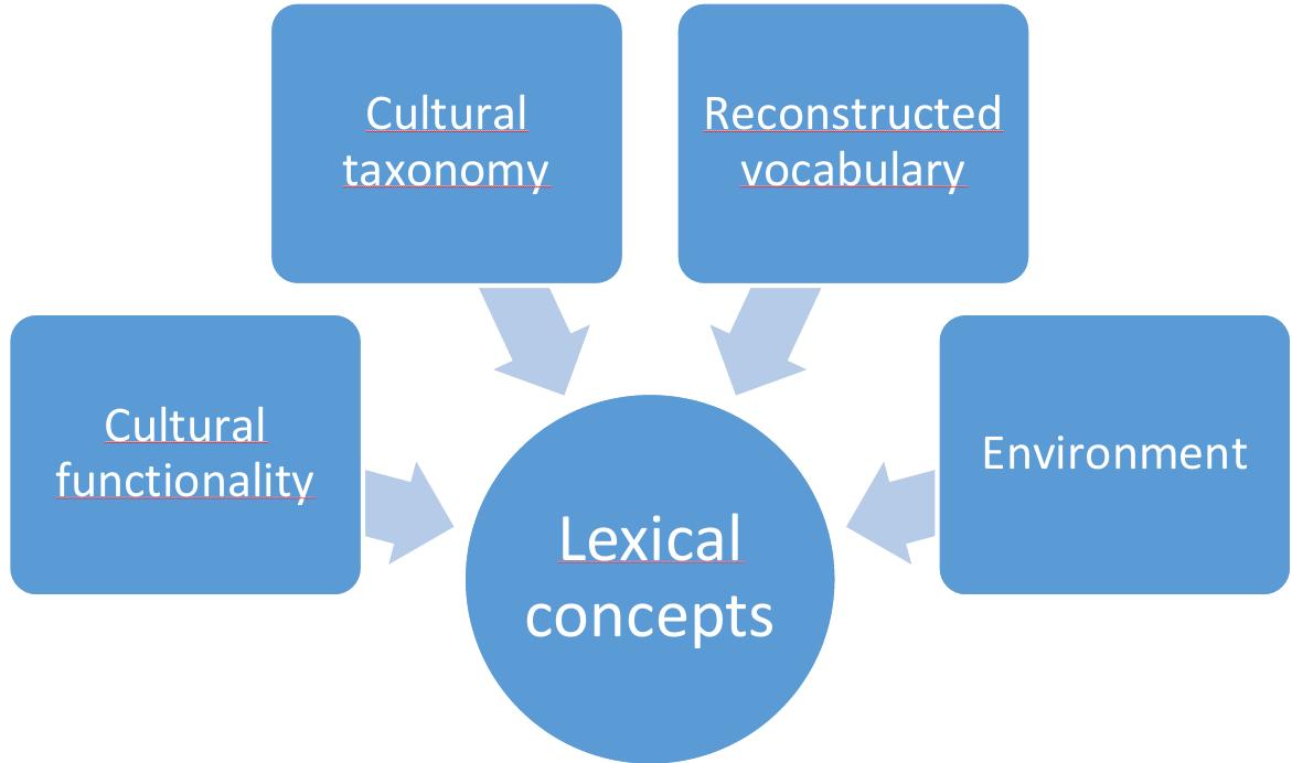 Figure 8. Graph illustrating the principles behind the selection of lexical concepts in the culture vocabulary lists 