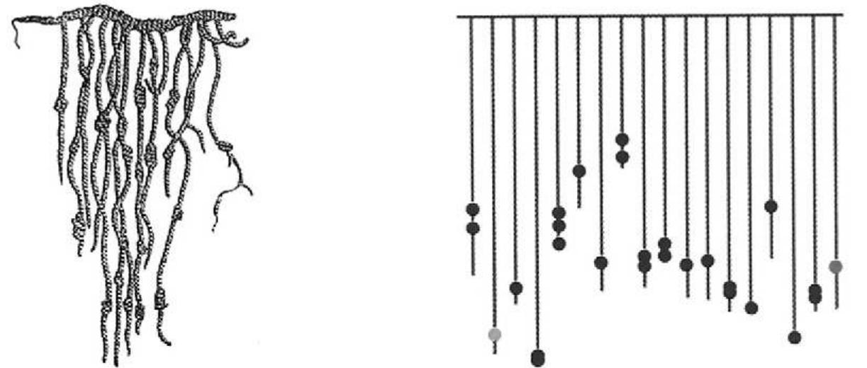 138 Or Quipu, see (Jacobsen, 1964). See also http://en.wikipedia.org/wiki/Quipu 