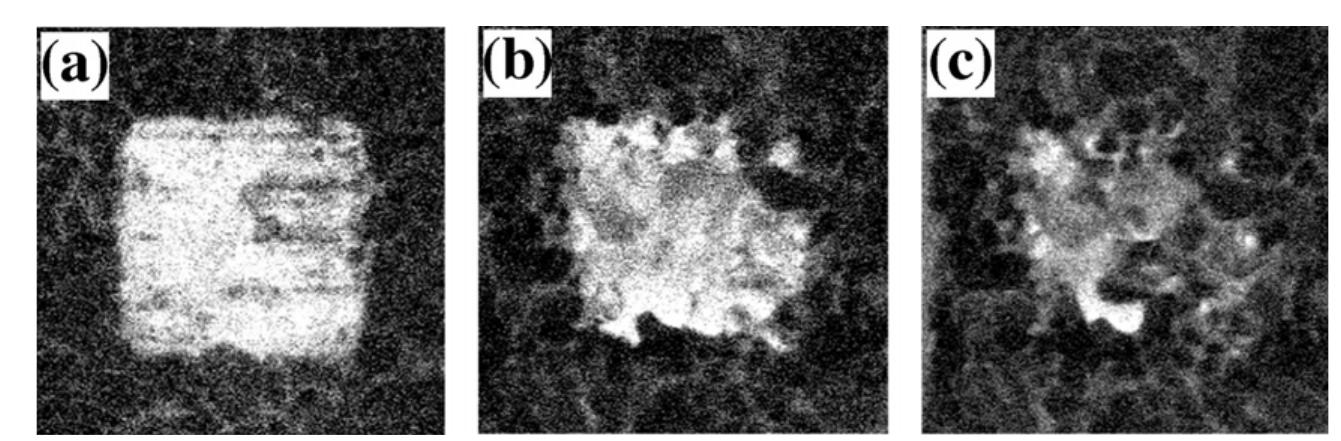 (PDF) Nanoscale ferroelectrics: processing, characterization and future ...