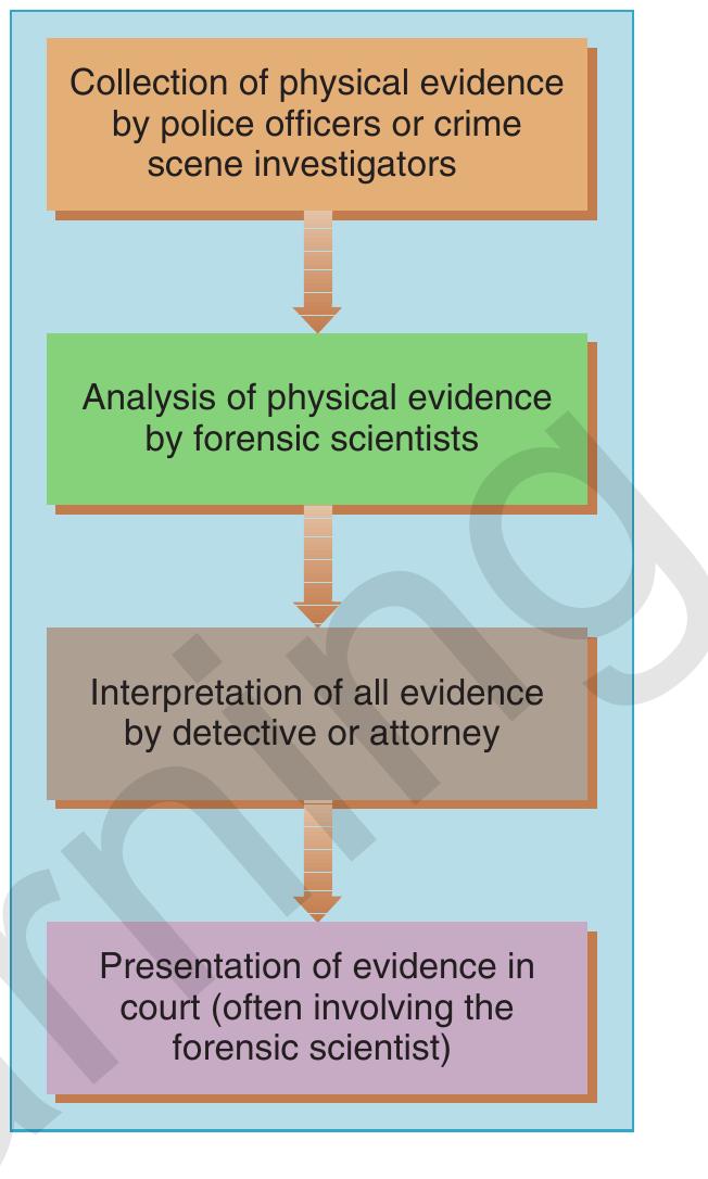 FIGURE 1 Involvement of various individuals in an investigation. 