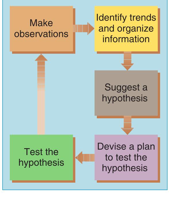FIGURE 4 The scientific method. 
