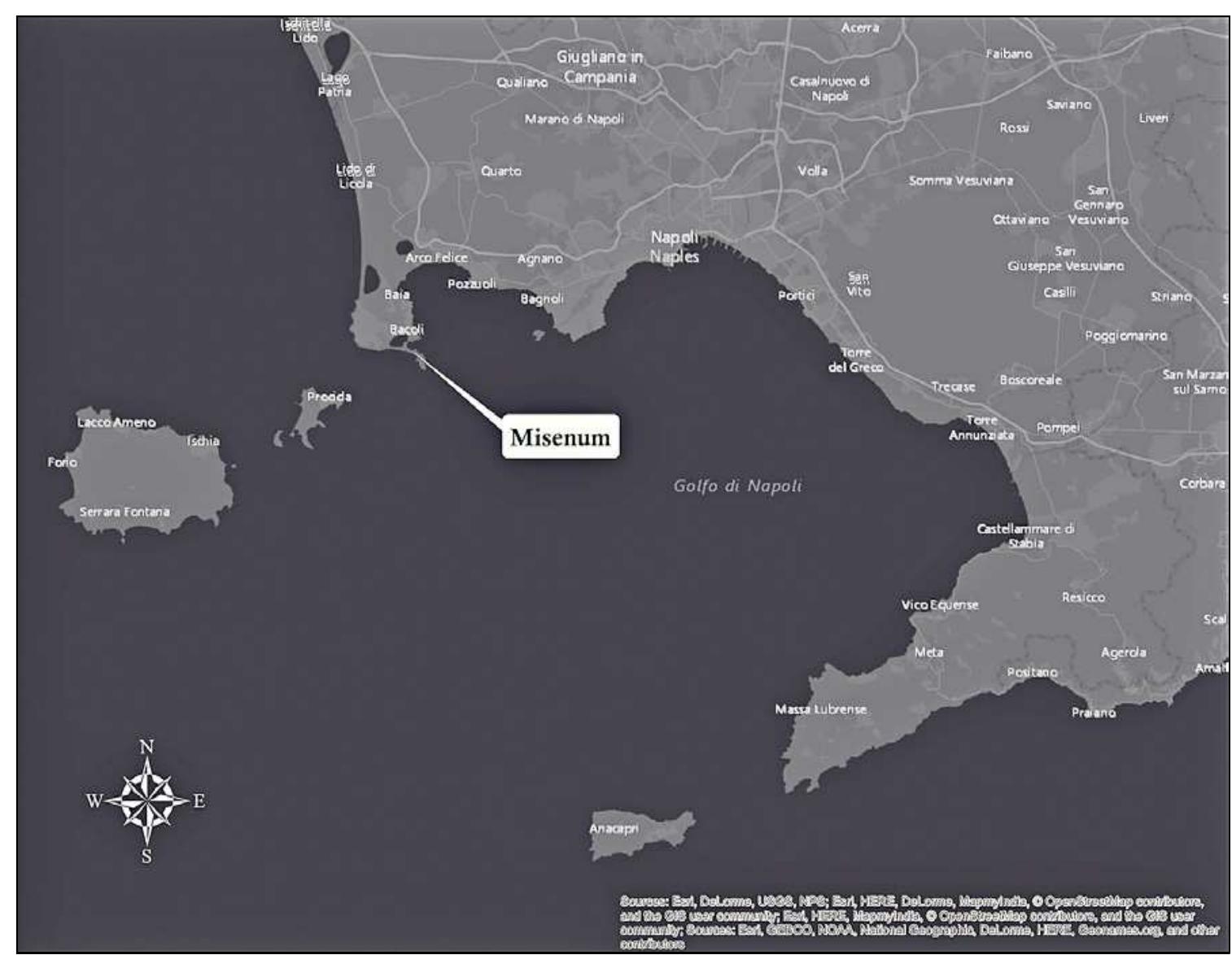 Fig. 1 - The area of the Gulf of Naples. 