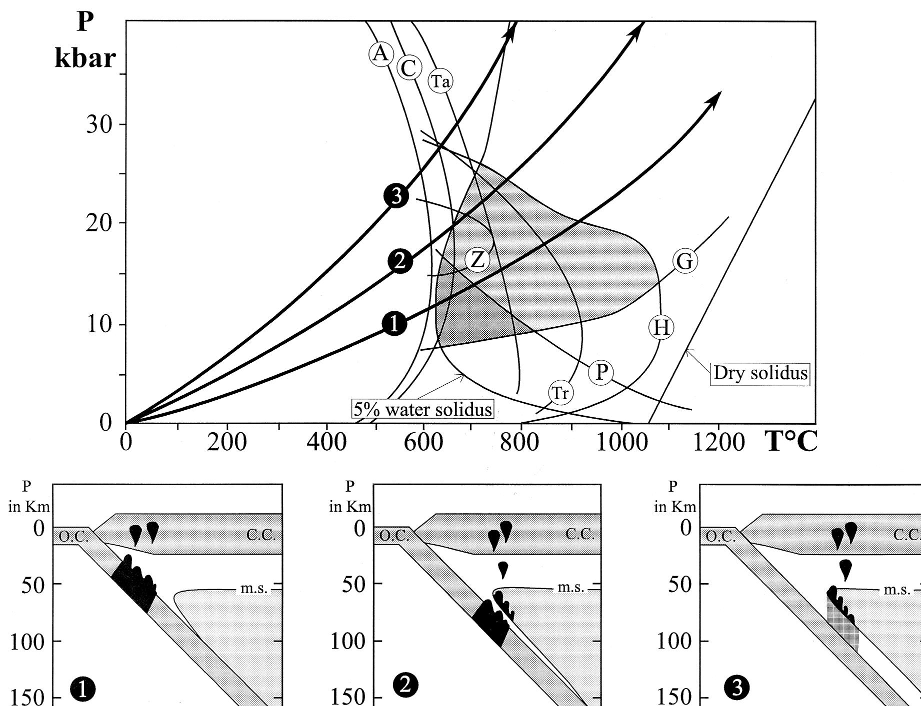 (PDF) Adakitic magmas: modern analogues of Archaean granitoids