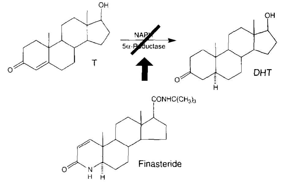 (PDF) Finasteride: a clinical review
