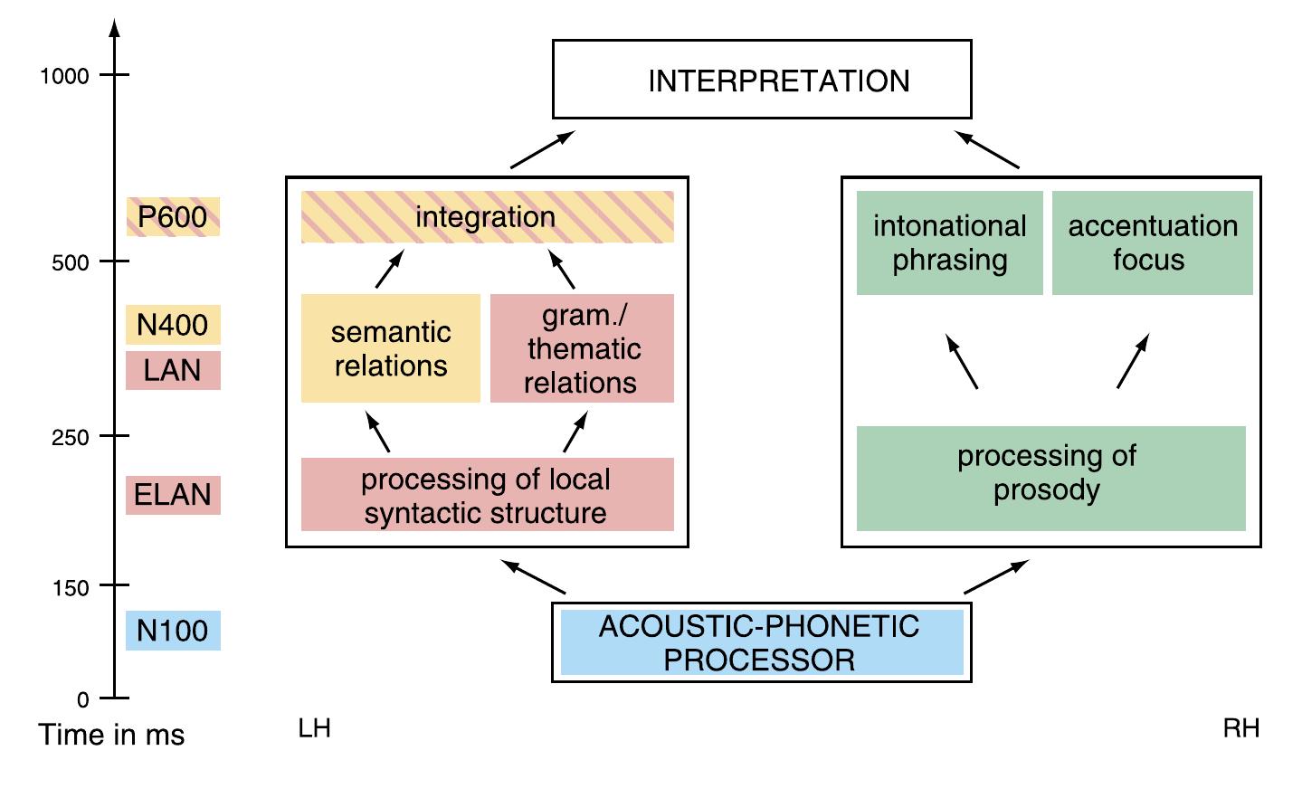 (PDF) THE BRAIN BASIS OF LANGUAGE PROCESSING: FROM STRUCTURE TO FUNCTION