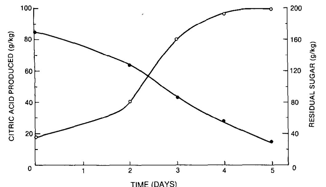 (PDF) Microbial Production of Citric Acid by Solid State Fermentation ...
