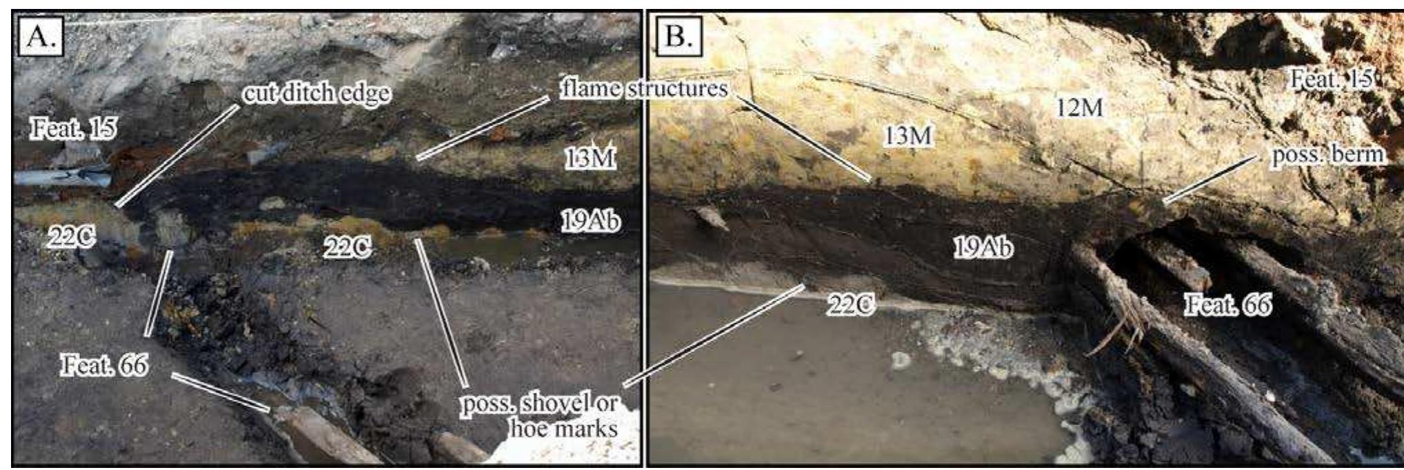 As with profiles 2 and 3, the wetland depression in profiles