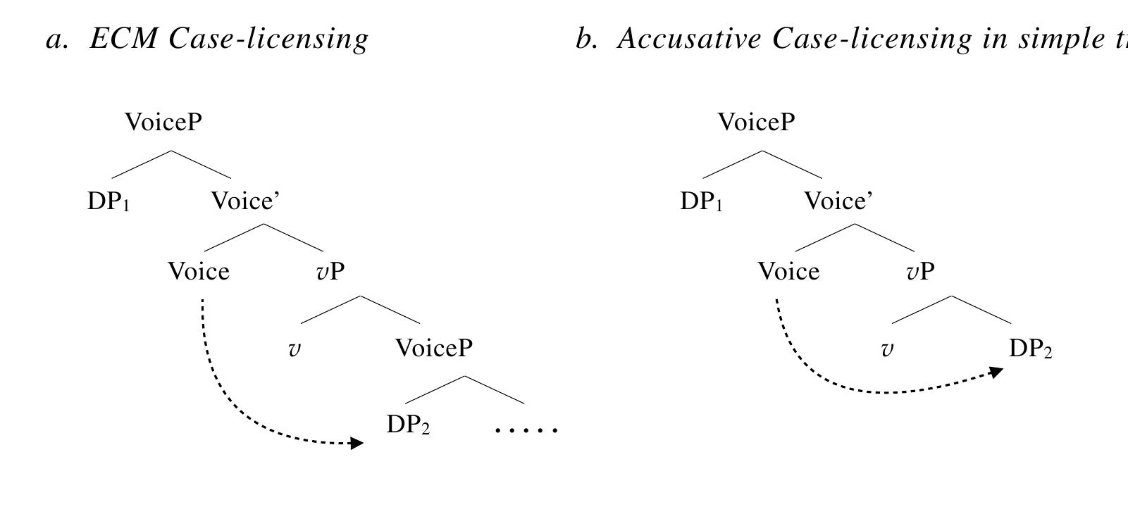 Importantly, this Case-licensing configurations (46a) does not apply to lexical oblique Case. As the source of oblique Case is V, oblique Case cannot be assigned an embedded subject  as there is no lexical Case licensor in the matrix verbal phrase in configuration like (46a). Therefore, if Y-marking in Philippine-type languages shows ECM-phenomena, this will lend direct support to an accusative Case analysis of Y.  As introduced in 2.4, Exceptional Case marking (ECM) (Chomsky 1981, 1986) is standardly considered a typical characteristic of structural accusative Case, whereby the external argument of a nonfinite embedded clause is Case-licensed by the higher Voice®. This results in the phenomenon of the subject of a nonfinite embedded clause sharing the same case-marking (accusative) with normal direct objects in transitive clauses, as illustrated in (46a)-(b):  nonfinite embedded clause is Case-licensed by the higher Voice”. This results in the phenomenon of  The first argument for the transitive analysis of 2-place AV clauses comes from the ECM-behavior of! Y-marking in productive causative constructions. 