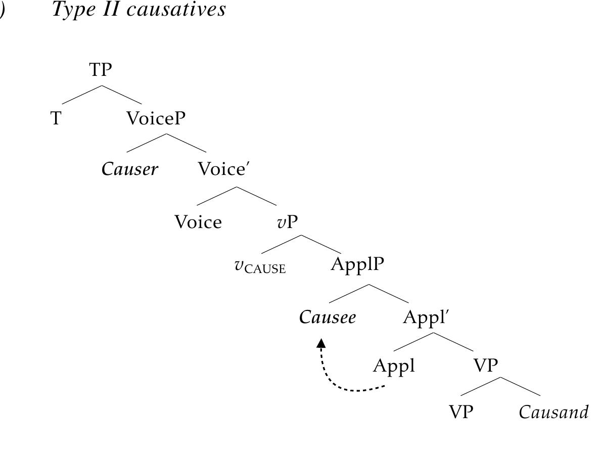 Yet a third type of causative has been shown to exhibit a Causee licensed as a by-phrase adjoined to the embedded verb phrase (56). As seen below, this type of causative construction  exhibits a bi-clausal structure with a passivized embedded complement. As the Causee is licensed as an adjunct, it does not behave like an external argument (e.g., French: Kayne 1975; Achenese: Legate  2014), similar to that in Type II causatives. 