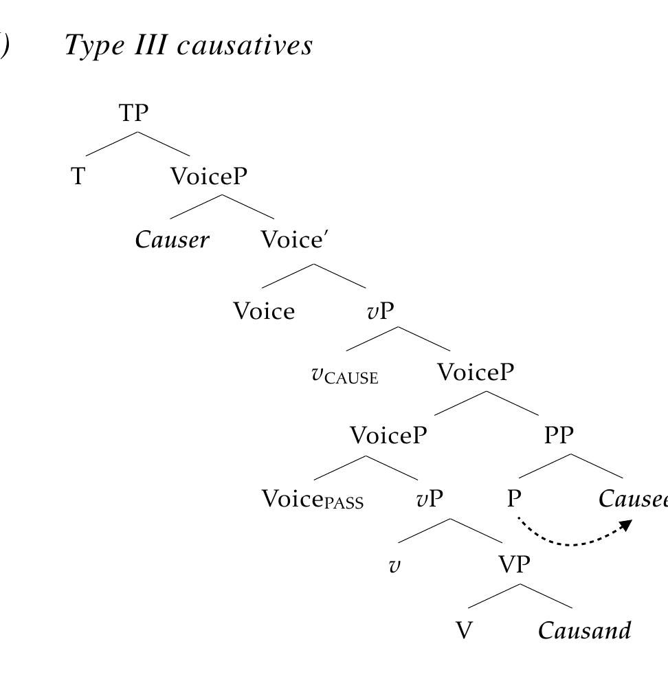 Crucially, none of these three types of causative (54)-(56) is compatible with a lexical Case analysis of the Causee. As all three constructions do not employ a lexical verb in the higher clause, it is untenable to assume that the Y-marking present on Causee realizes lexical oblique Case. It can thus be concluded that the presence of Y-marking on the Causee falsifies a lexical oblique Case analysis of Y. 