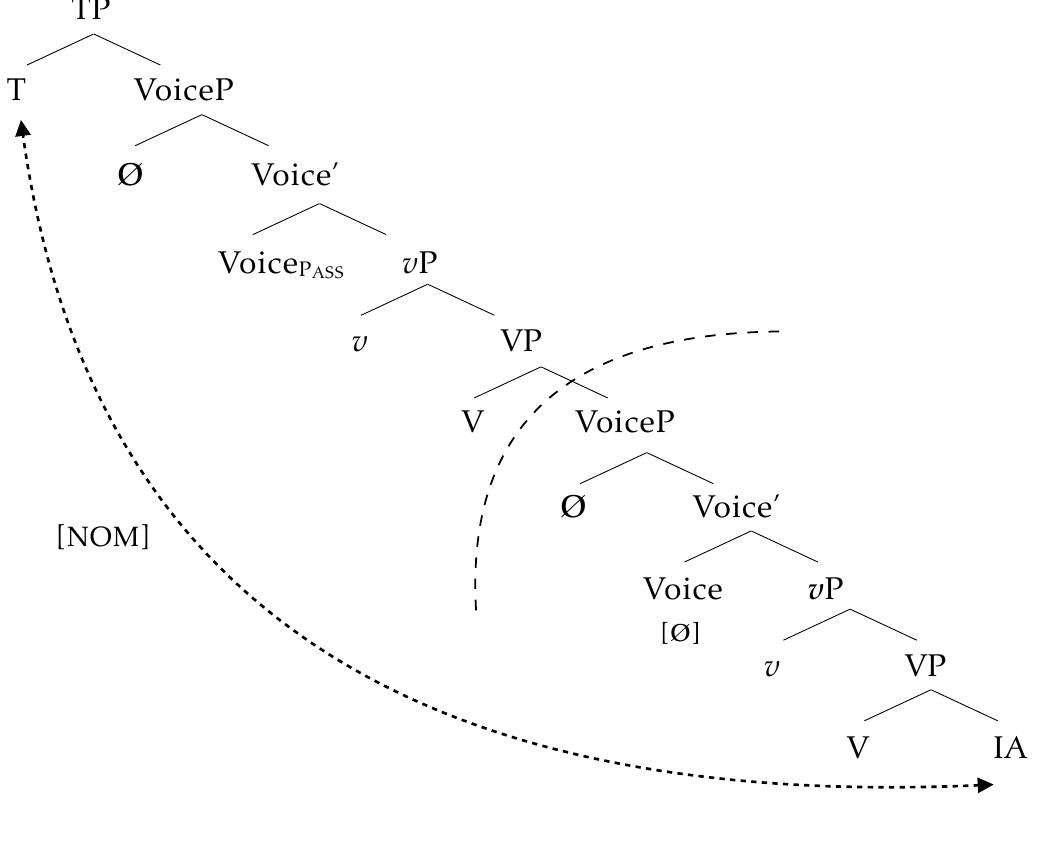 As seen in (74), inside a restructuring infinitive, a structural accusative Case licensor is supposed to be unavailable, whereas a lexical oblique licensor is predicted to be present—given that  the source of the latter is the lexical verb (V°). Whether or not Y-marking is available within restructuring infinitives therefore serves as a testing ground for the property of Y-marking. 