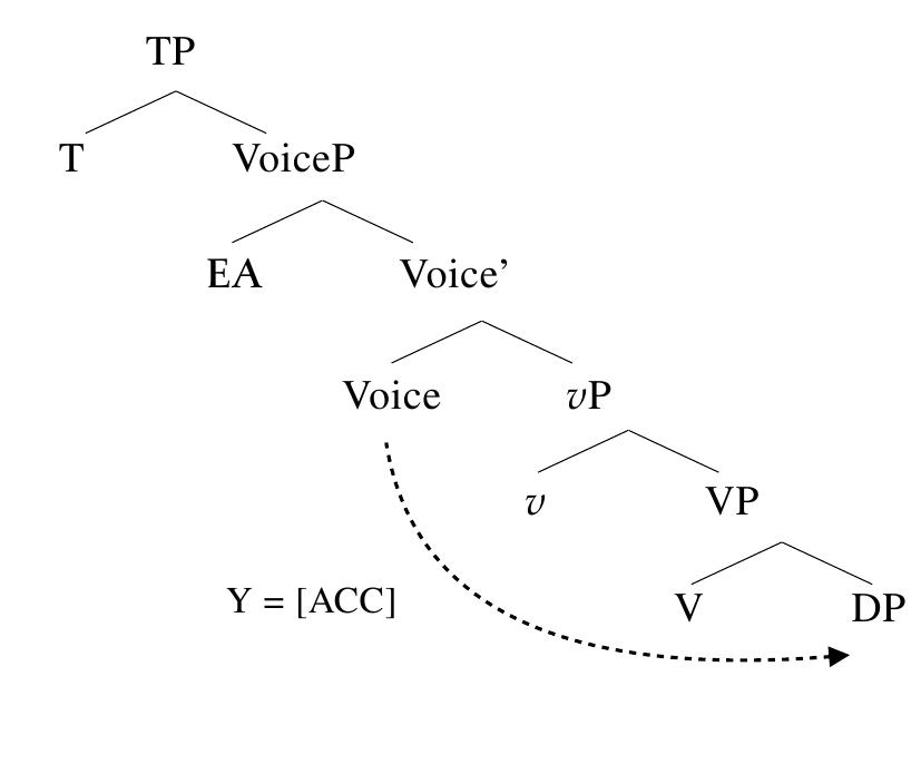 Given the evidence from the four constructions discussed in 2.5—-6, I conclude that 2-place AV 