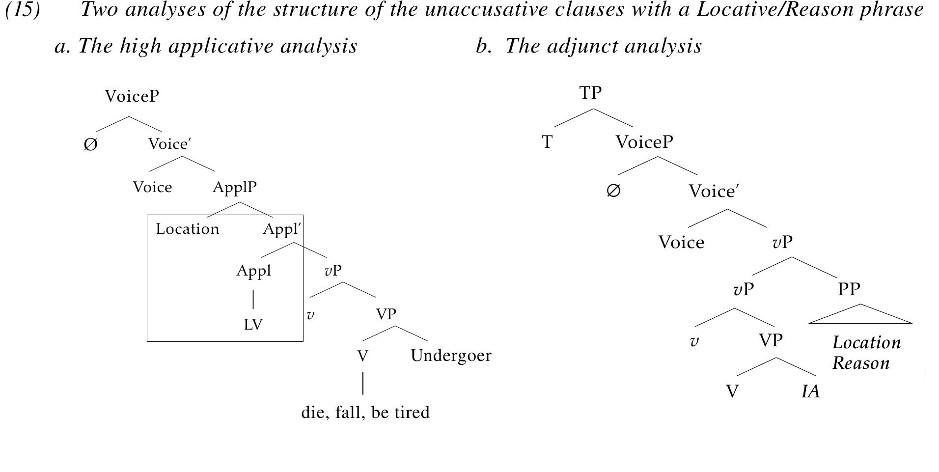 Therefore, under either an applicative or adjunct analysis of the Pivot, a transitive analysis of 