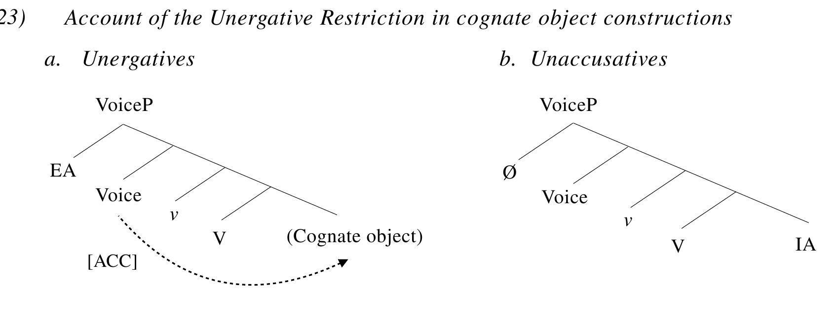 Macfarland (1995) and subsequent work has argued that the Unergative Restriction is a direct outcome of the hypothesized structural difference between unergative and unaccusative subjects (23): as cognate objects are licensed at the internal argument position (23a), they are incompatible with unaccusative constructions, since the the sole argument selected by unaccusative verbs occupies the same position, as seen in (23b). The asymmetry in licensing a cognate object between unergative- and unaccusative-like verbs can thus serve as a diagnostic for unaccusativity.°® 