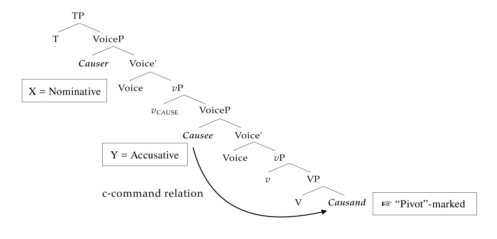 The structure in (38) yields an important implication, that the licensing of “Pivot” does not  respect the locality condition on nominative Case-licensing.'° Especially given that both arguments are not licensed with inherent Case, the fact that “Pivot”-marking can “skip” both the Causer and the  Causee and fall on the Causand suggests that its cannot be analyzed as the reflex of structural nominative/absolutive Case.  respect the locality condition on nominative Case-licensing.’° Especially given that both arguments 