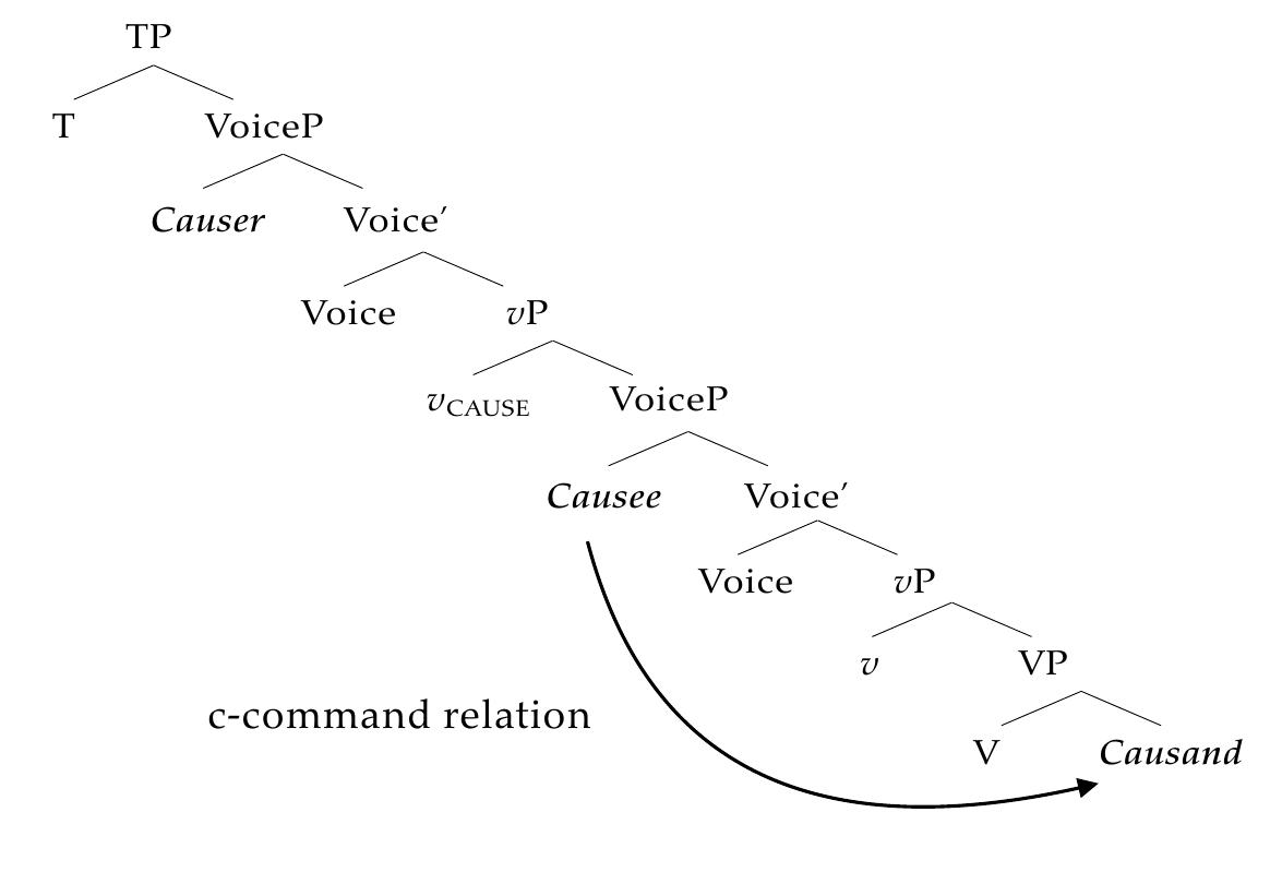 This observation has two important implications: First, the high applicative analysis of the CV affix is in conflict with the binding facts observed in LV/CV clauses. Second, given the conclusion above, the distribution of “Pivot’”-marking does not behave like the reflex of structural Case, as this marker is free to fall on an argument that is structurally low when the clause is CV- marked. The main findings of this subsection are summarized in (46): 