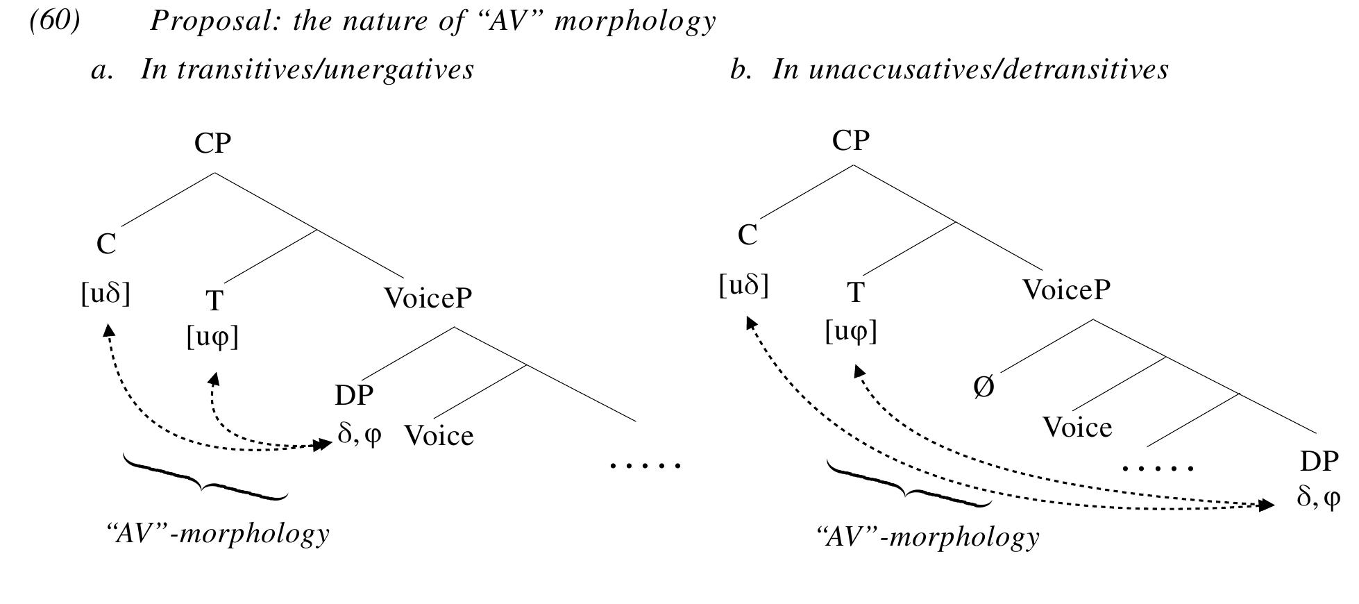 This analysis correctly predicts that the presence or absence of the AV affixes is, on the on hand, insensitive to the transitivity of a clause or the structural position of the Pivot, and, on the other hand, restricted to the highest DP in a clause (see Chapter 3), as seen in the following examples:  hand, insensitive to the transitivity of a clause or the structural position of the Pivot, and, on the 