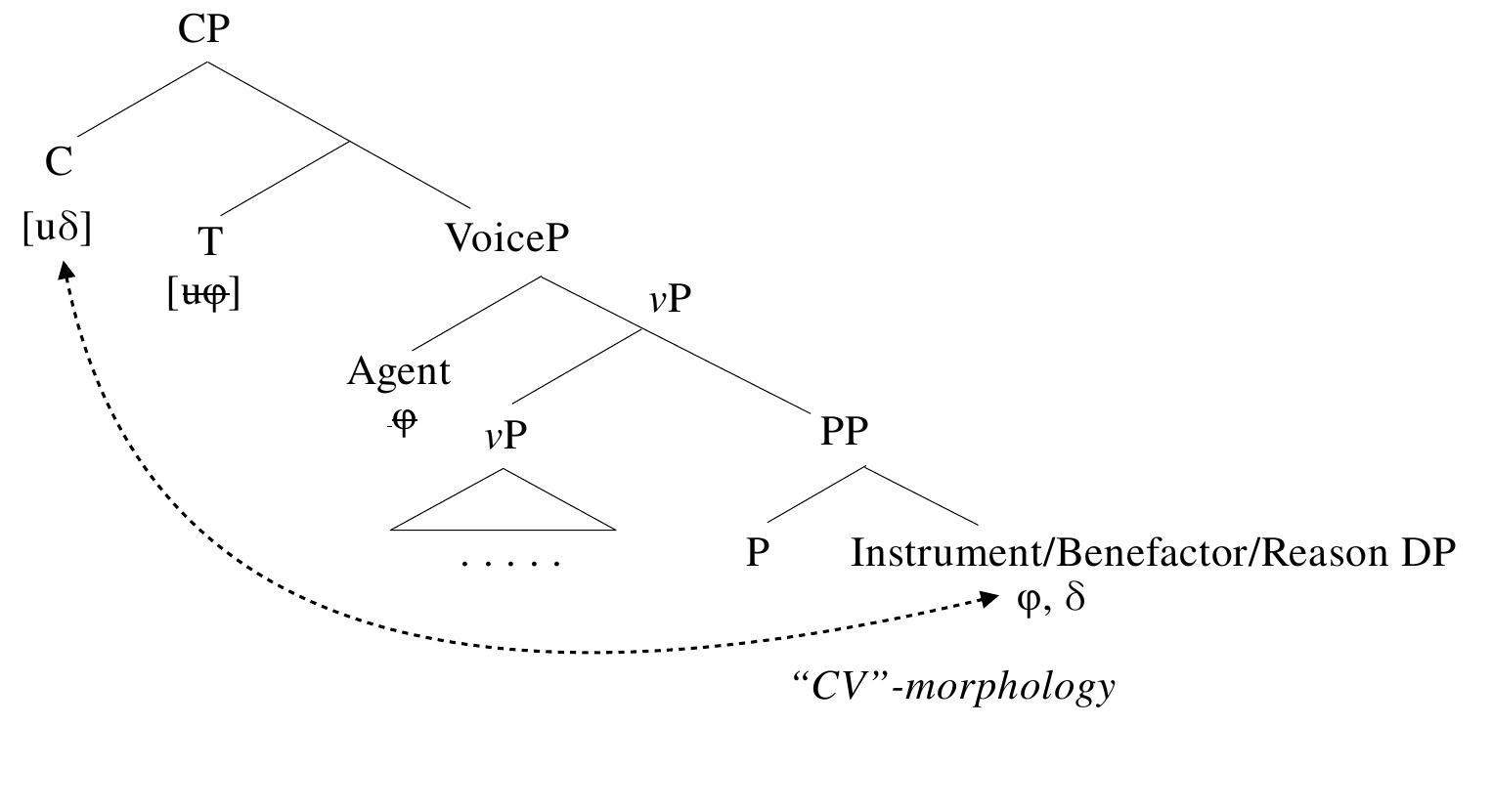 In productive causatives, a Causand does not trigger Object-agreement, as it is structurally  lower than the Causee—which is the highest argument within the matrix VoiceP. Therefore, when the Causand bears a [topic]-feature, the simple 5-agreement is spelled out as “CV”-agreement (75):  not form a homogenous groups either in case status or structural position, as well as (11) why these 