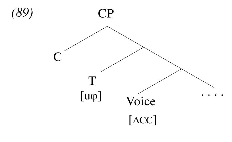 5.5.1 The design of the Philippine-type voice system  TABLE 5.9. Proposal: the nature of the Philippine-type argument-marking pattern 