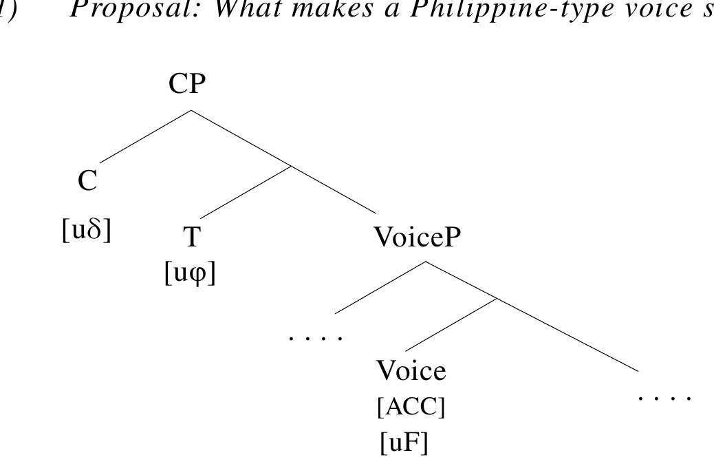 Under this analysis, Philippine-type languages employ two distinct positions for topics and subjects: the former is hosted at [Spec CP] and the latter at [Spec TP], similar to what has been  argued for English (e.g., Richards 2007; Chomsky 2008; Miyagawa 2010, 2017). In what follows, I review the nature of Philippine-type languages under the current analysis from a crosslinguistic  perspective.  The assumptions summarized so far come together to construct the design of the Philippine: ype voice system illustrated in (91): 
