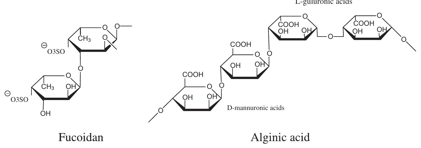 Structures of fucoidan and alginate.