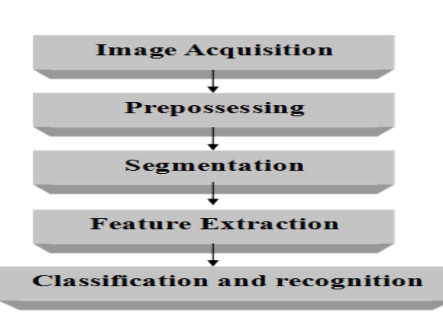 (PDF) Handwritten Text Recognition of Document Form Using Machine Learning
