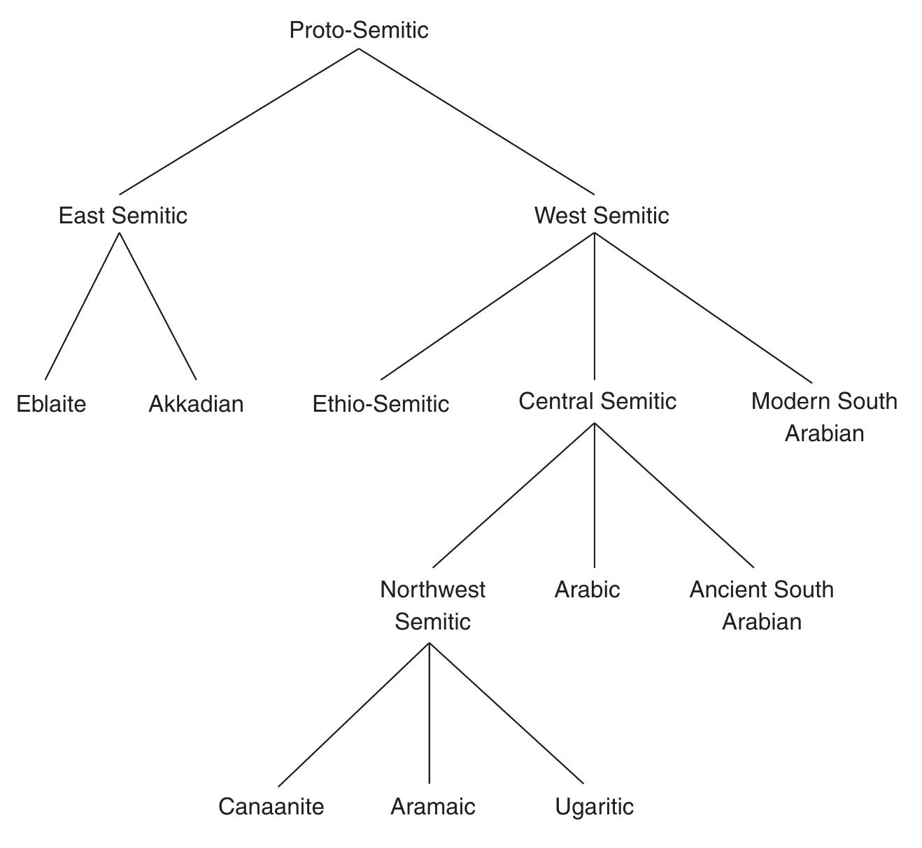 Figure 16.1 Classification of the Semitic Languages 