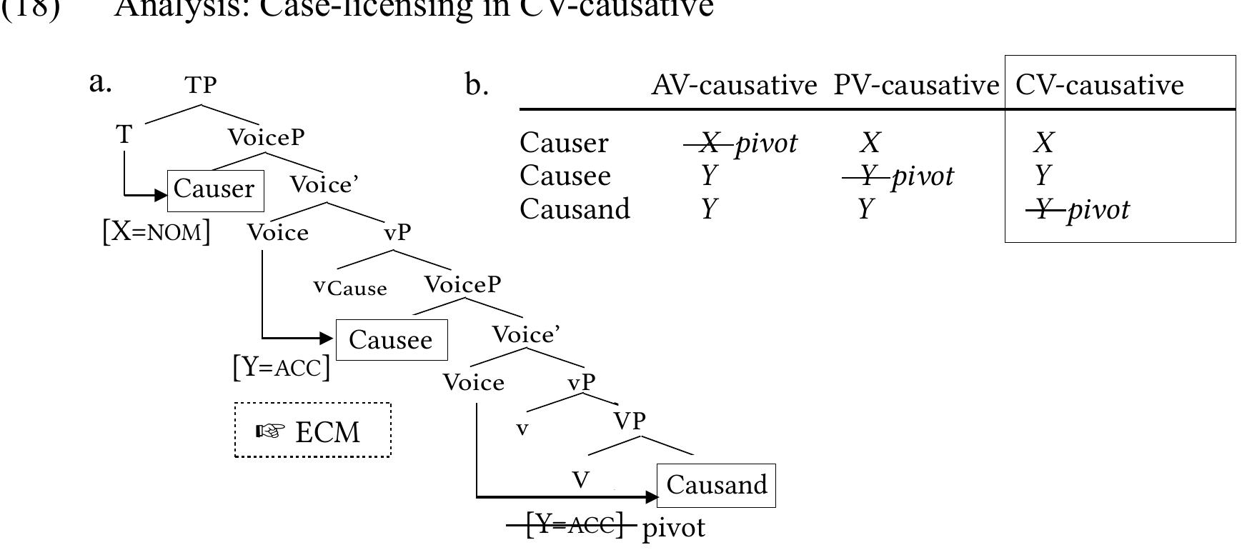 As shown above, the Causer always receives nominative Case (i.e. X) assigned by T, with the Causee and the Causand receiving structural accusative Case (i.e. Y) from the matrix and embedded Voice®, respectively. The argument-marking alternations among different voice types is accounted for under the analysis that what has been conventionally analyzed as a “voice” marker in fact signals which 