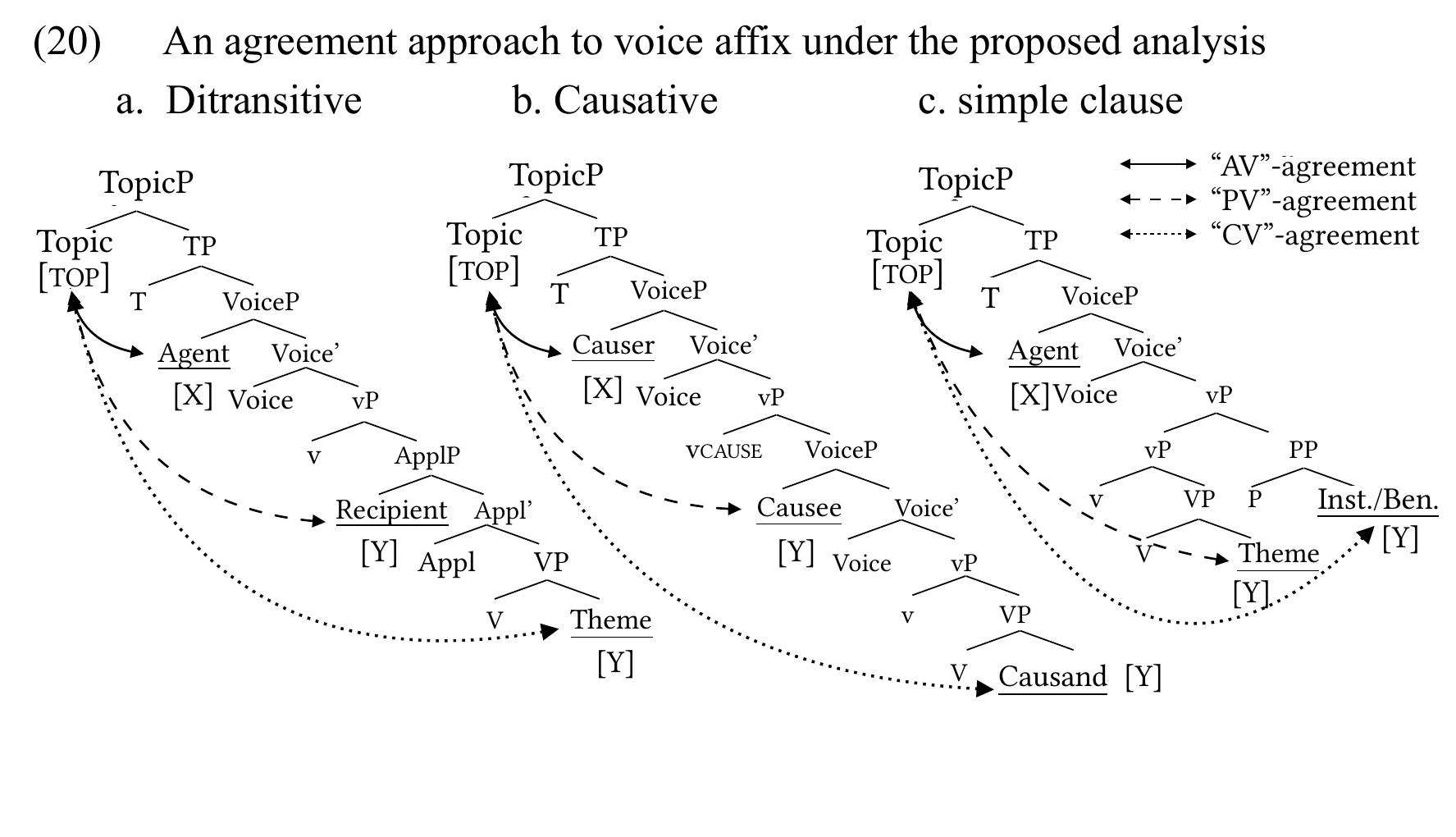 AVIA UUUVWOLIL aVUpiv alii a SpreViitv pitioaow VWillkitli GA Wie  Under this analysis, an AV affix morphologically encodes an A’-agree relation between an A’-head (Topic®) and the subject of a clause, which bears a [topic] feature. Thus, in an AV clause, nominative case (i.e. X) on the subject is overridden by pivot-marking, with the rest of the phrases in the clause carrying their morphological case. In a PV clause, the direct object carries a [topic] feature and enters into an Agree relation with Topic®. Therefore, the accusative case (i.e. Y) on the direct object is overridden by pivot-marking, with the external argument carrying its morphological case (X). In an LV clause, a temporal/locative phrase bears a [topic] feature and enters into the Agree relation. Therefore, the external and internal argument (if any) in the clause carry X- and Y-marking, respectively, with the temporal/locative phrase pivot-marked.!! Finally, in a CV clause, an indirect object/adjunct bears [topic] feature and agrees with Topic®, with the rest of the arguments in the clause carrying their morphological case. The figures below illustrate how the argument-marking patterns in ditransitives (20a), causatives (20b), and simple clauses (20c) are derived under the present analysis. 