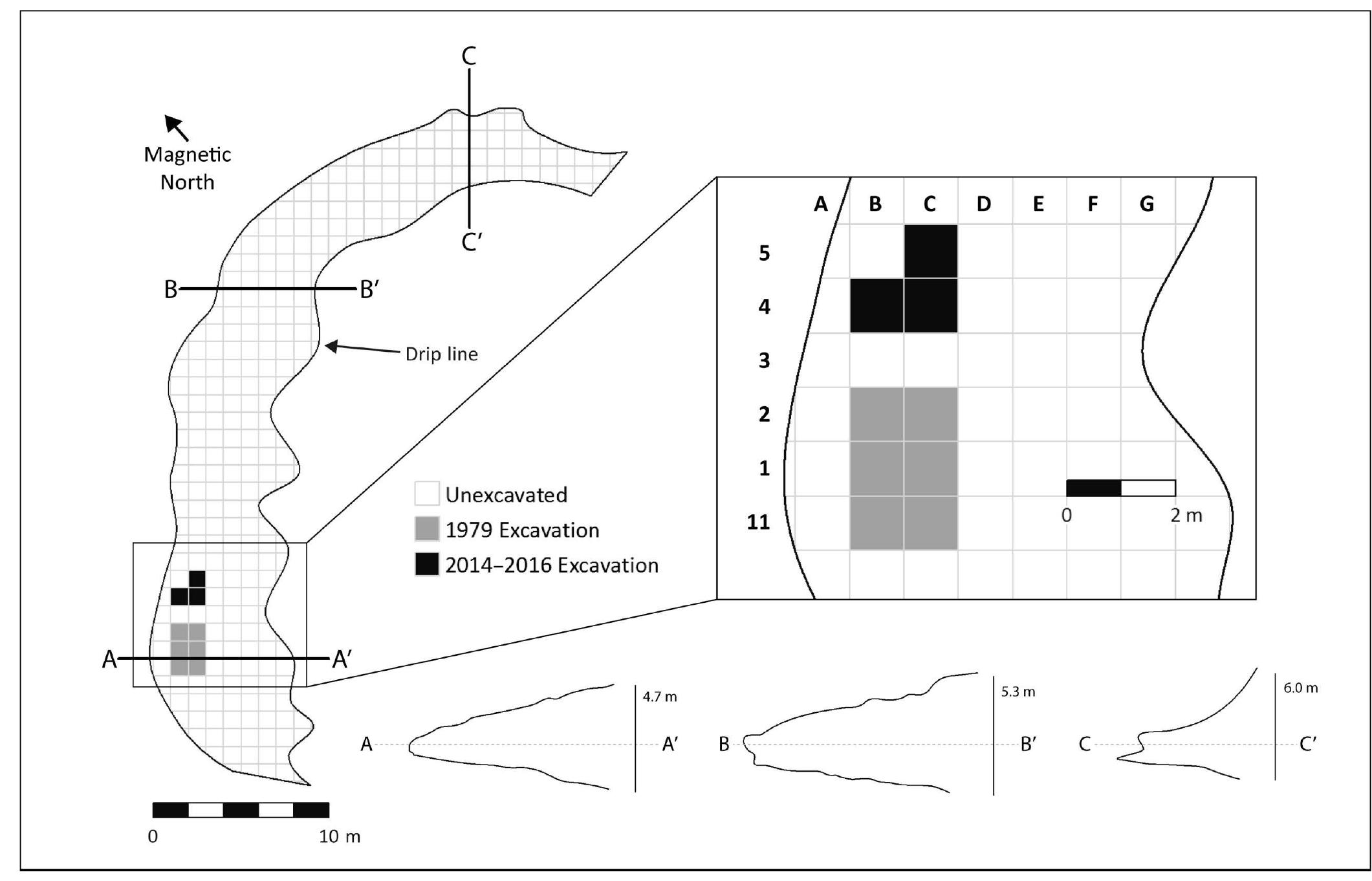 FIG. 2. Map of Grassridge Rockshelter, including the original 1979 excavation trench and GAPP’s new excavation trench 