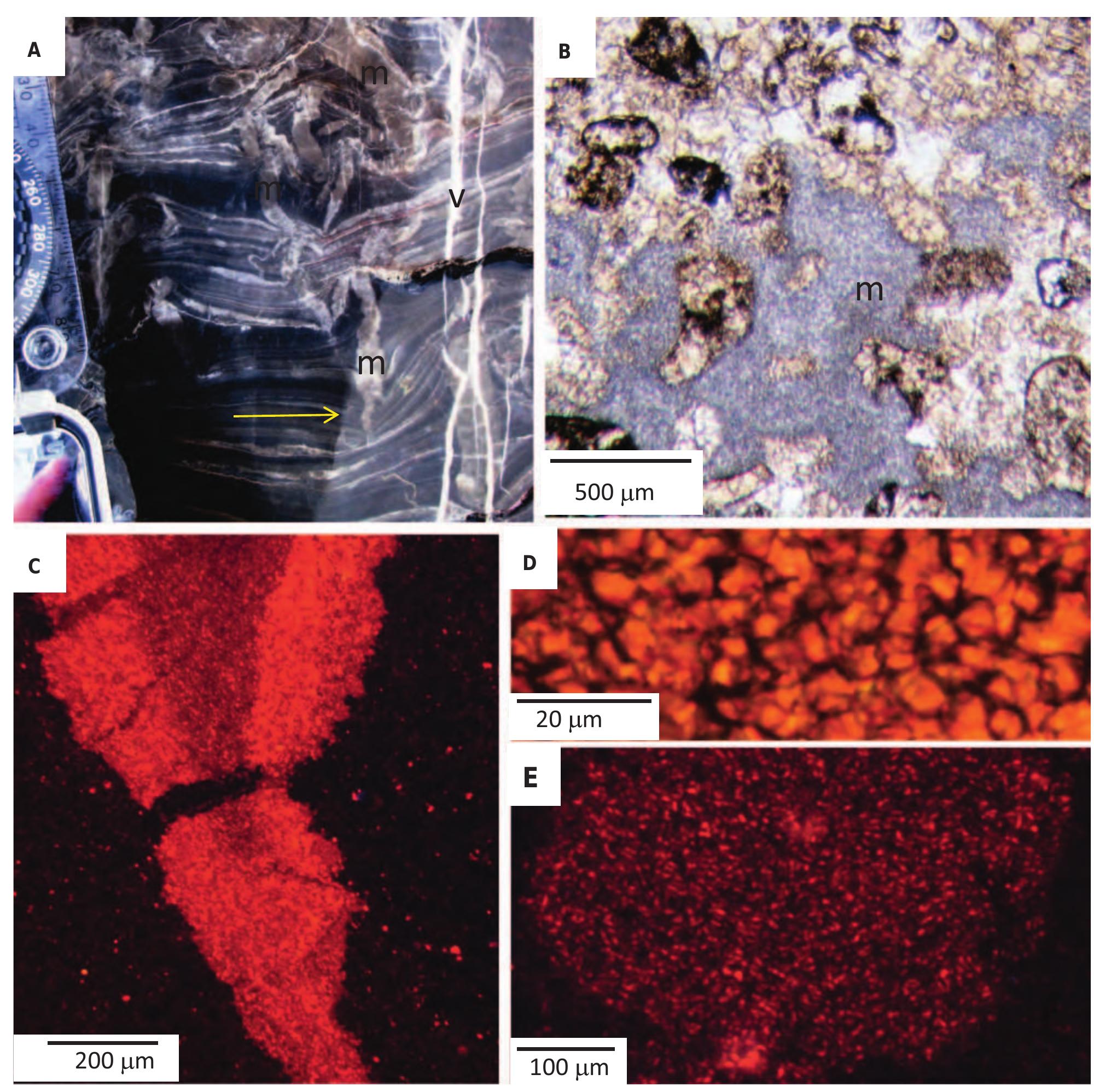 Figure 3 - from Sedimentological perspectives on climatic,