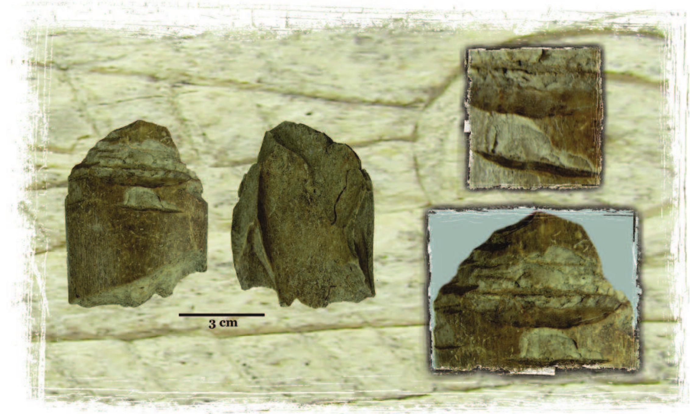 Figure 132