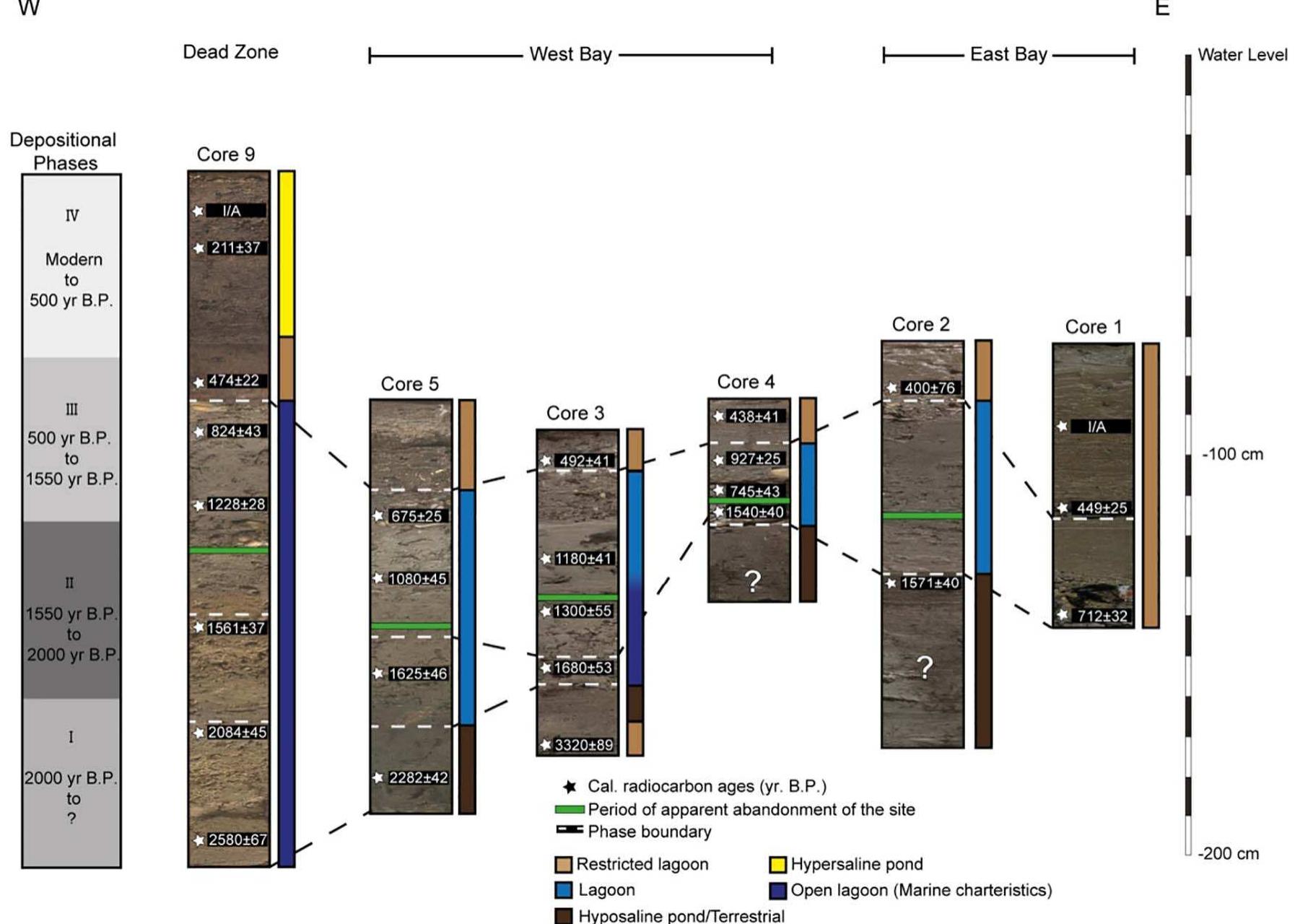 Fig. 3. Core correlation. Calibrated radiocarbon ages are marked in the point taken from the core with a star. The across-site correlation was determined by combining the sedi- mentological results and ages. 