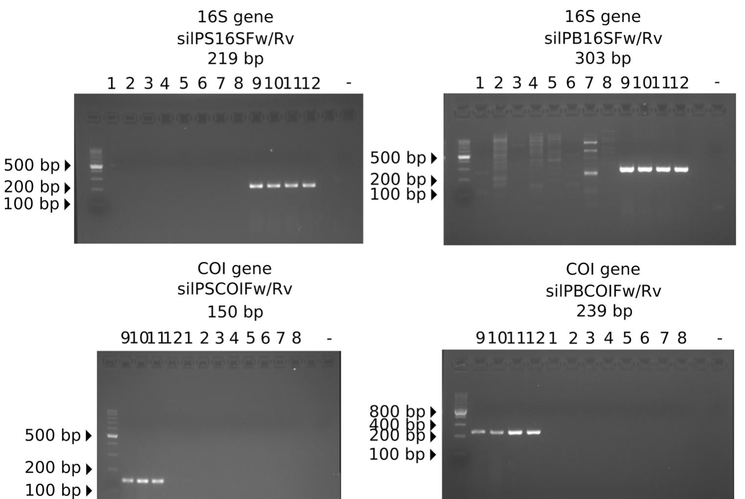 Edna Interested (PDF) Citizen warnings and post checkout molecular confirmations using ...