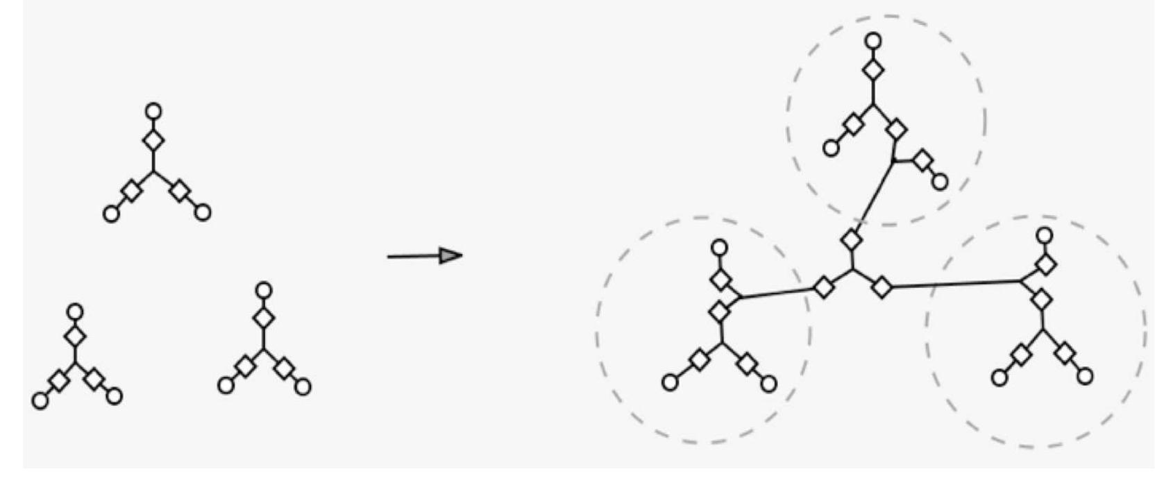 This diagram illustrates the structure of the different