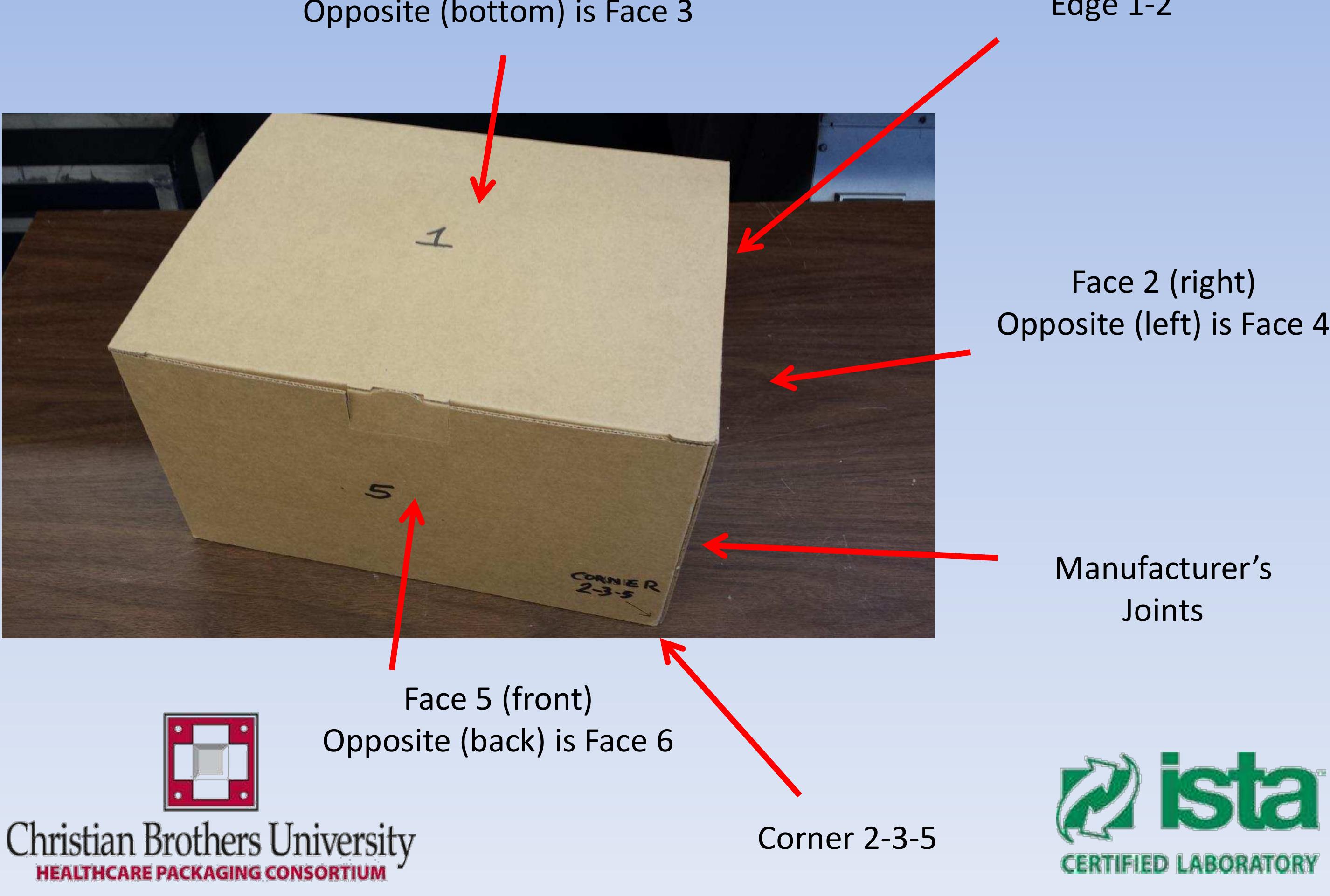 (PDF) Drop Test
