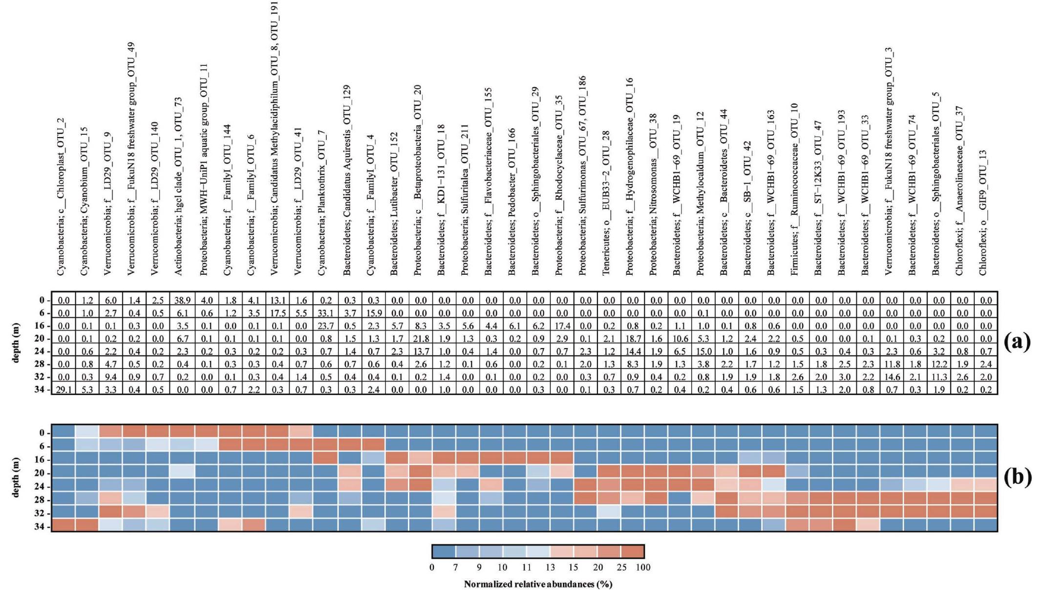 Fig 5. Relative abundance of the 40 most abundant bacterial genera along the Lake Averno water column. (A) Data are normalized to percent of total OTUs. (B) Table cells are colored (gradient scale from blue to red) according to the relative abundances. The abundance of each genus was normalized with respect to the average abundance. Hence, this allowed visualization of the relative increase or decrease in abundance of each genus at the 8 sampling depths, despite the differences in abundance between genera. In addition, the genera were clustered (the y-axis) to visualize by different shades of color those with similar patterns. Each group have both a broad group name (Phylum) and a specific name (Genus). If no genus name could be assigned, the best assignment is reported.  