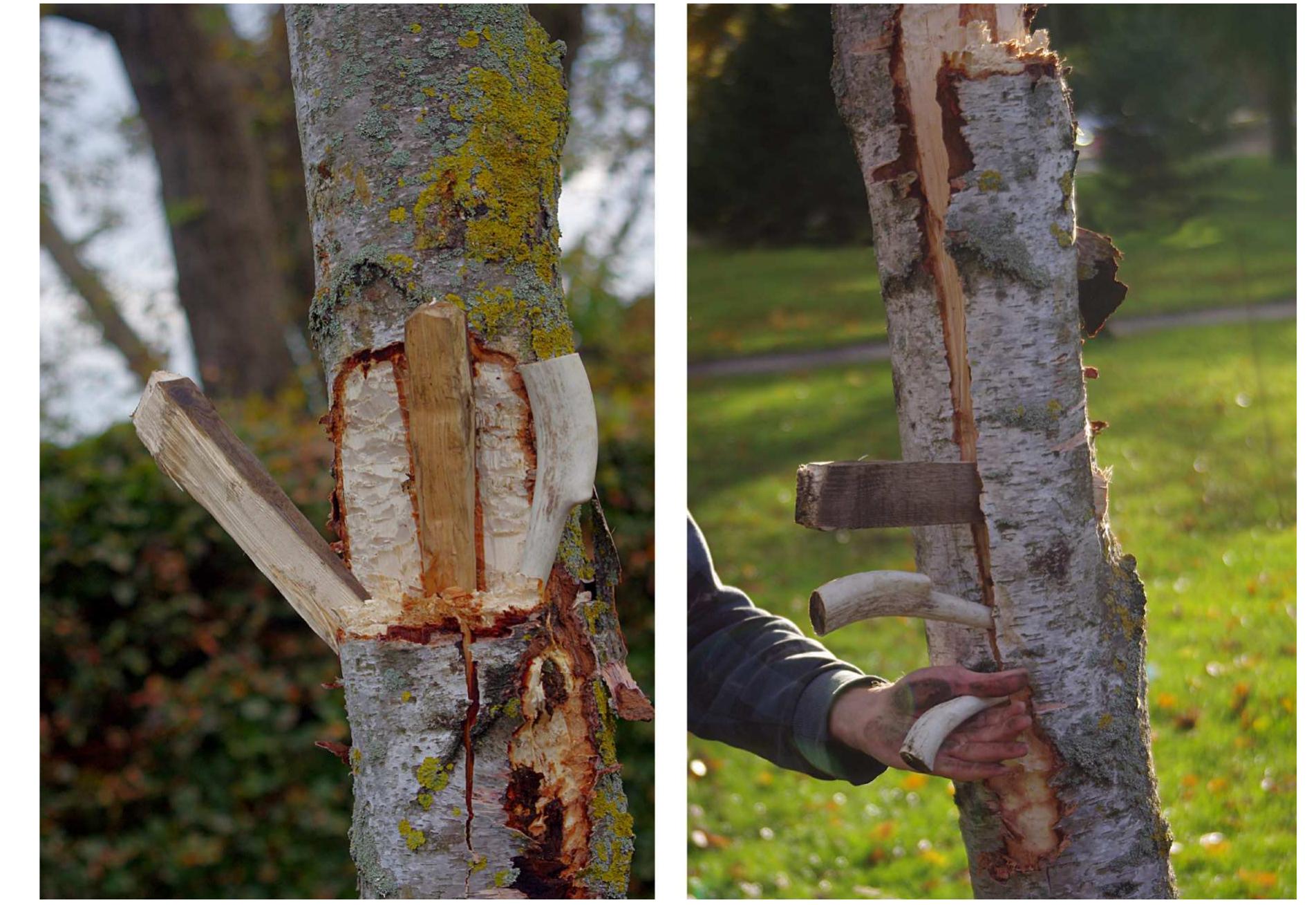 Timber Spring After Splitting Figure 14 - from woodworking-technology.pdf