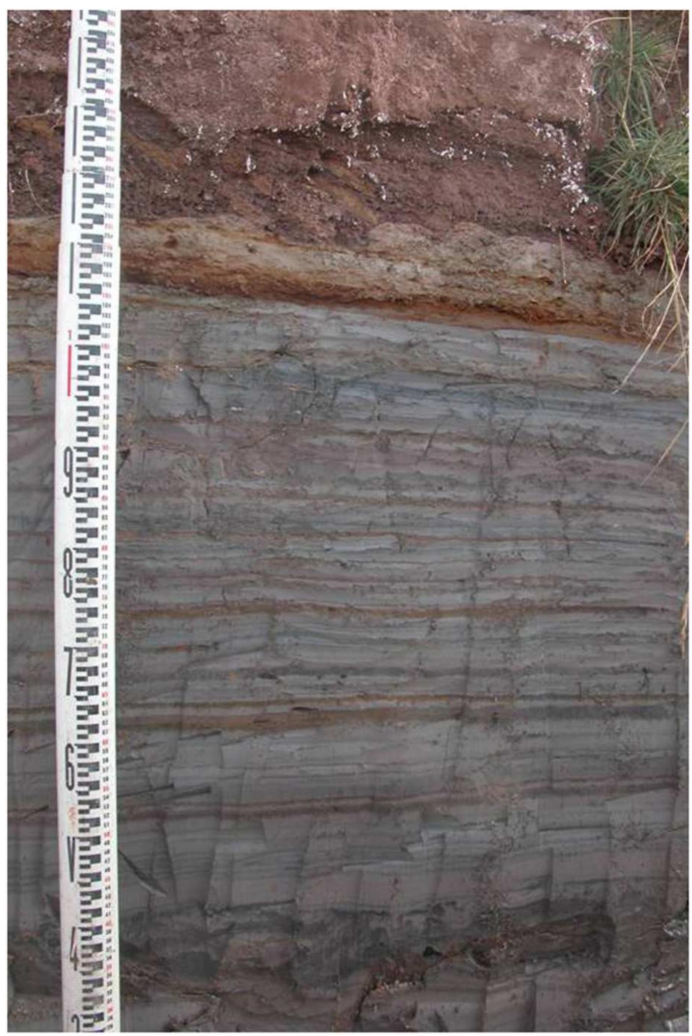 Fig. 5. Photograph showing the thick stratum of laminated gray to blue—gray lacustrine clays. This photograph is from the Rio Iquilo B measured section reported by Farabaugh anc Rigsby (2005): Fig. 3. (For interpretation of the references to color in this figure legend, the reader is referred to the web version of this article.) 