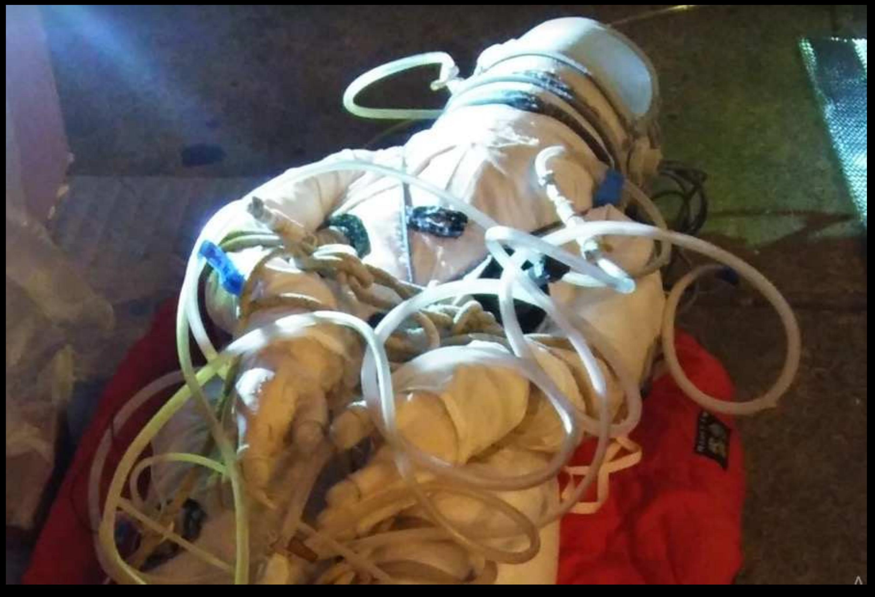 -44 inside the suit * Teflon & rubber seals OK * PVC hoses dangerously rigid * need to replace quick-commeect o-rings 