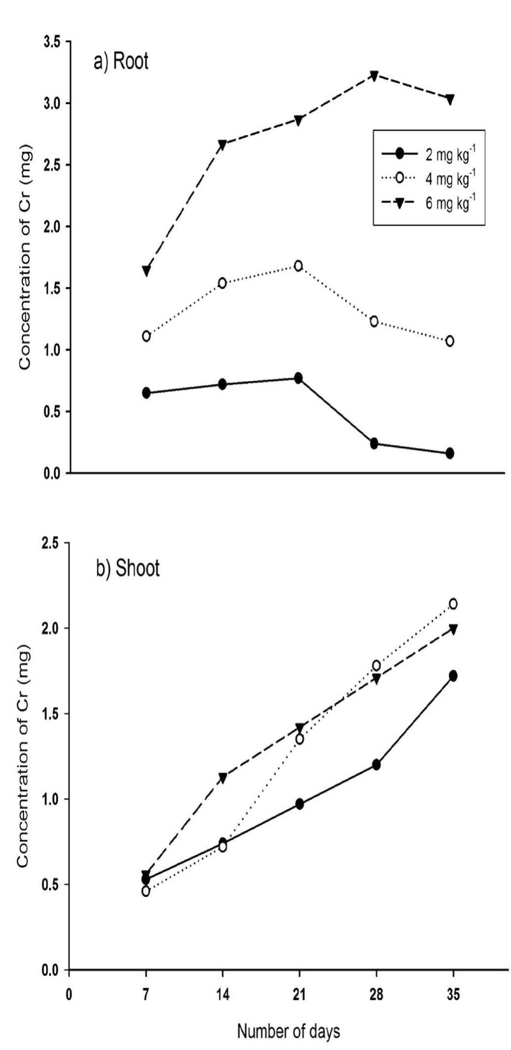 (PDF) Phytoextraction of chromium from electroplating effluent by ...