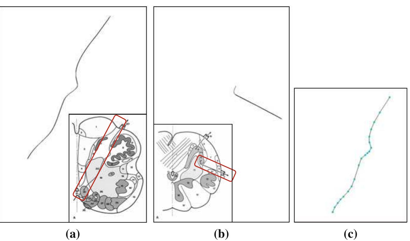 Modeling of cranial nerves: a, b minimal path-based models