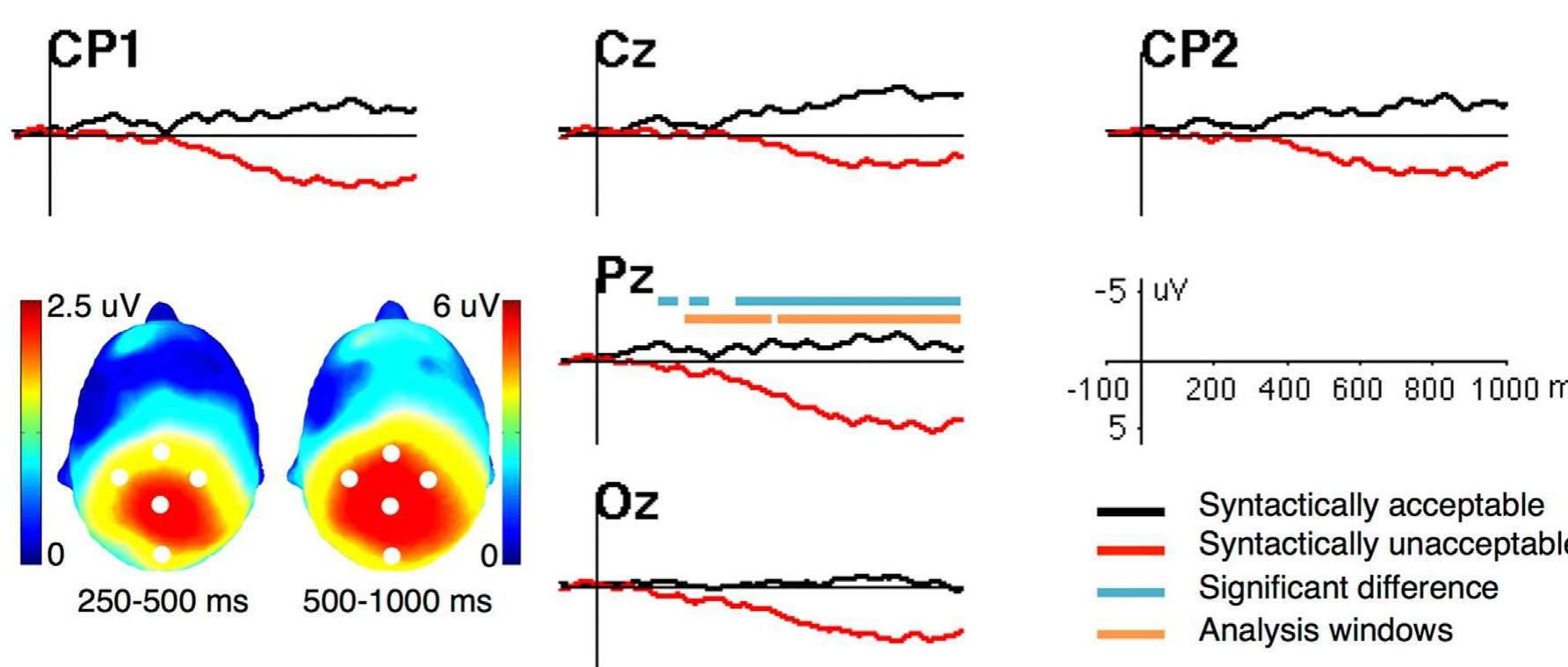 Fig. 3. Waveforms recorded in response to syntactically acceptable and unacceptable sentences in English, with channel locations on the scalp indicated by white circles. Scalp plot shows the mean amplitude of the P600 effect over the 250—1000-ms analysis window. Two analysis windows (early P600: 250-500 ms; late P600: 500-1000 ms) and all time points at which acceptable and unacceptable sentences differ significantly are indicated by bars on a representative channel, Pz.  Based on pairwise correlation analysis, only the relationships between ERPs and the initial learning of Vocabulary, Semantics and Syntax remained significant after correcting for multiple comparisons (Table 1). Moreover, structural equation modeling revealed that the N400-Semantics relationship was mediated by the initial learning of Vocabulary (Fig. 5). Therefore, in follow-up analyses, we asked whether two specific learning outcomes, initial Vocabulary and initial Syntax, representing sound-to-meaning mapping and structural learning re- spectively, were better predicted by one ERP marker or the other.  Ten-fold cross-validation confirmed the relationships between English ERP predictors and MAL learning outcomes at the individual level. The N400 effect predicted Day 1 Vocabulary (r=0.34, RMSE=0.188). In combination, the N400 effect and participants’ Day 1 Vocabulary predicted initial Semantics (r=0.38, RMSE=0.129). The early P600 alone predicted initial Syntax (r=0.33, RMSE=0.0804). 
