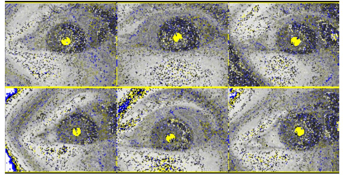 (PDF) A PROJECT REPORT ON IRIS RECOGNITION SYSTEM USING MATLAB