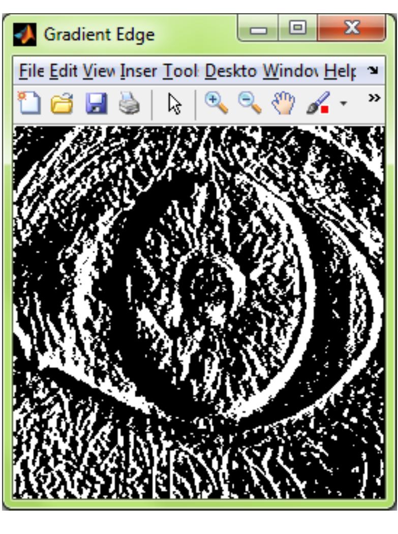 (PDF) A PROJECT REPORT ON IRIS RECOGNITION SYSTEM USING MATLAB