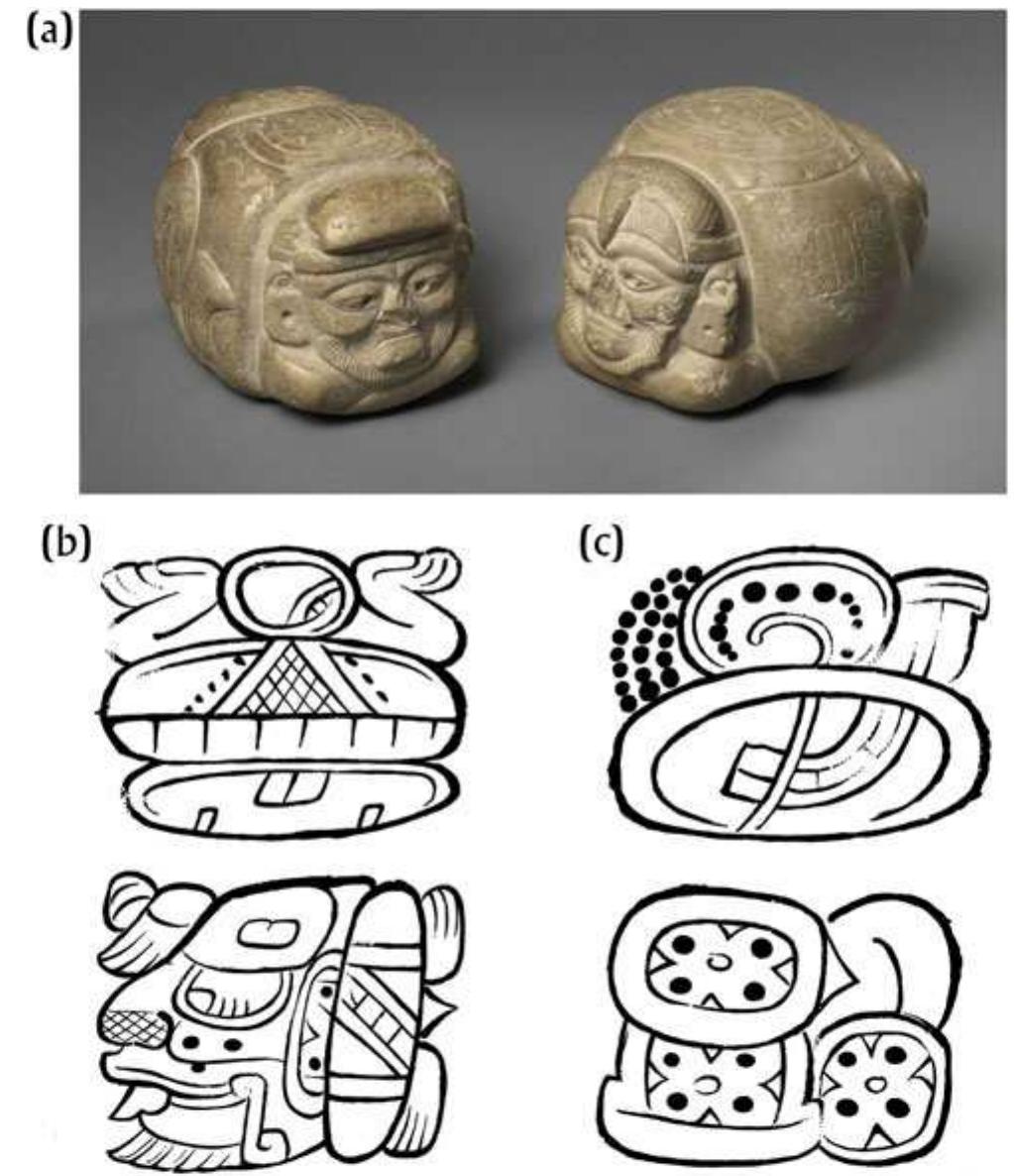 Figure 5. (a) A pair of limestone statuettes representing aged male deities. Note the incised glyphs on the side and the larger, circular glyphic medal- lions on the backs of the statuettes. Photograph by Bruce White © Princeton Museum of Art. The glyphic text adorning the sides of the Itzam K’an Ahk figure: (b) the left side of the statuette naming the original owner; and (c) the right side of the same, providing the owner’s titles. Drawing by Helmke. 