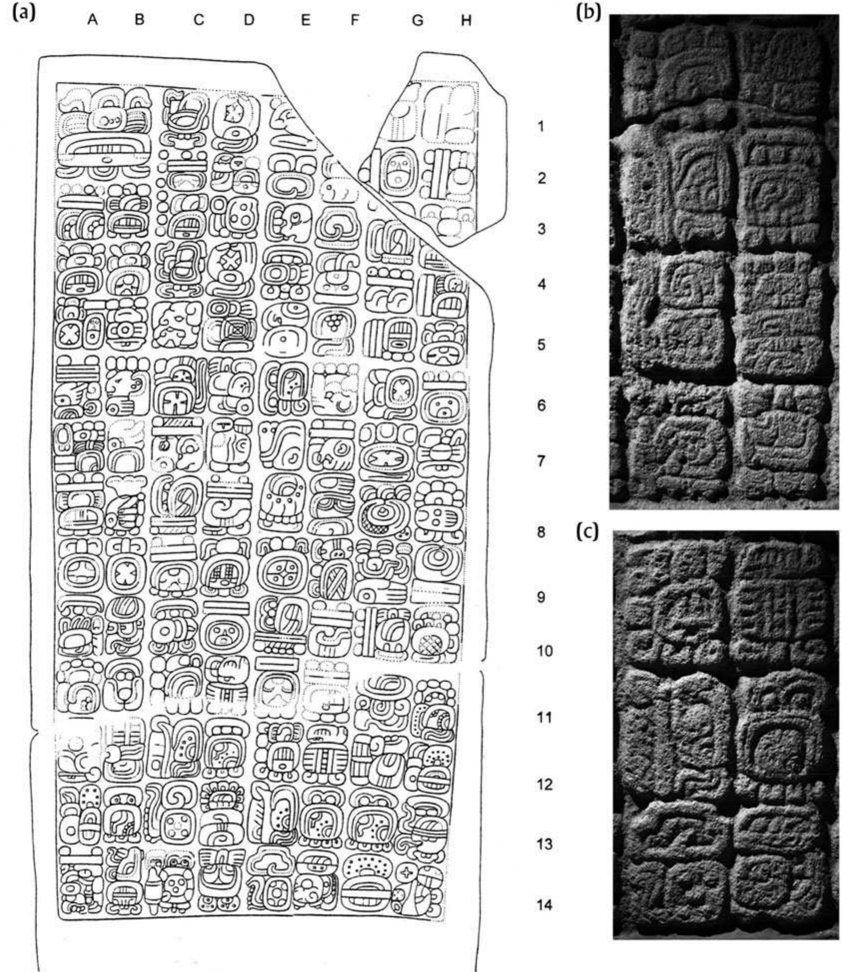 Figure 7. (a) The hieroglyphic text on the back of Pusilha Stela D. Drawing by John Montgomery reproduced with permission (after Wanyerka 2003:Figure 47). (b) Details of the first clause (CII—D14) to mention the Water Scroll Emblem Glyph and (c) the second clause (El2—F14). Photographs by Helmke (British Museum catalog no. Am1928,Q.79). 