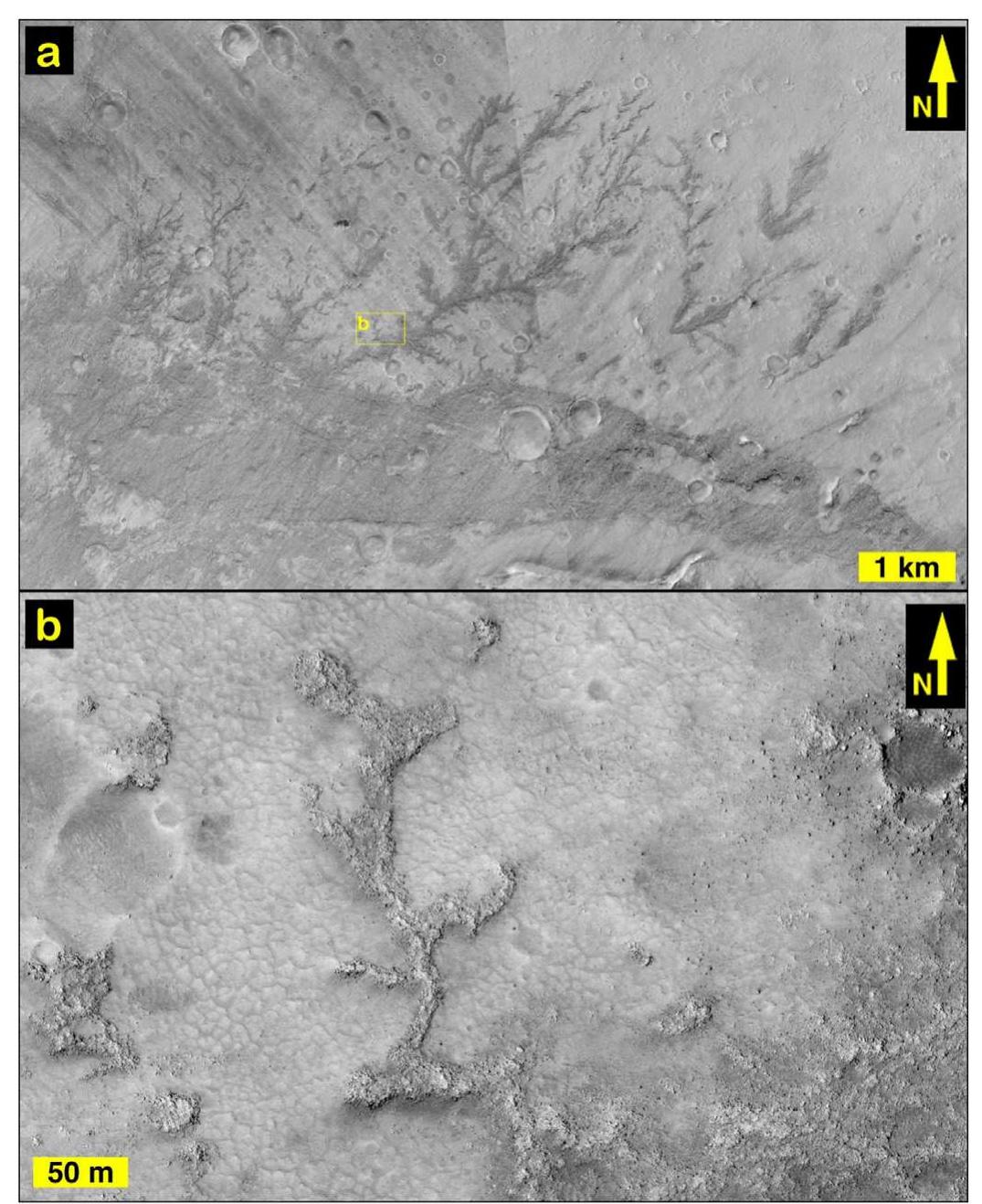(PDF) Inverted stream channels in the Western Desert of Egypt ...