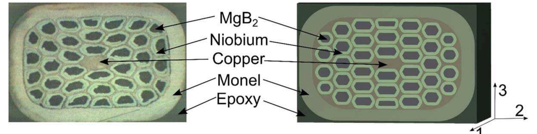 (PDF) A multiscale and multiphysics model of strain development in a 1 ...