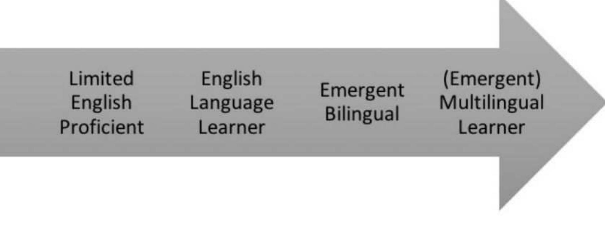 (PDF) Labels as Limitations